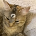 Seth Dodson - @good2.b.alive - Instagram