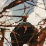 Seth Dube - @sethreactsandchill - Instagram