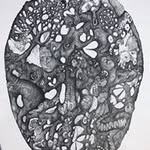 Seth Dube - @sethdube - Instagram