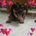 Seth Dustin - Facebook