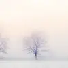 user9001757524595 - @dustin.seth_9_1986 - TikTok