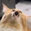 Seth DuVall - @saint._.richard - TikTok