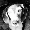 Seth Egger - @seth.egger - TikTok