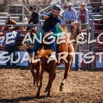 Seth Elliott - @motoelliott - Instagram