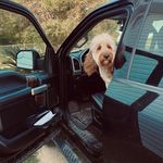 Seth Ellis - @sethellis99 - Instagram