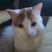 Seth Ervin - Facebook