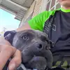 Seth Steven eubanks - @seth07543 - TikTok