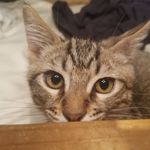 Seth Falcon - @sfalcon52 - Instagram
