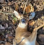 Seth Farrow - Facebook