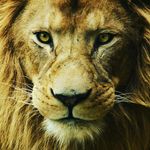 seth flores - @_seth_flores_ - Instagram