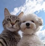 Seth Ford - Facebook