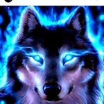 seth_fraser - @seth_james_12 - Instagram