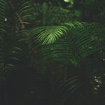 Seth Fraser - @sethfras - Instagram