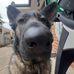 Seth Fraser - Facebook