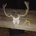 seth gabbert - @seth_gabbert - Instagram