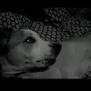 seth gabbert - @seth.gabbert - TikTok
