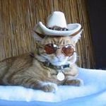 Seth Gatewood - @sgatewood007 - Instagram