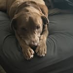 Seth Giles - @sethgiless - Instagram