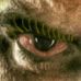 Seth Gitter - Facebook