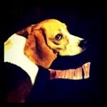Seth Gitter - @sethgitter - Instagram
