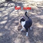 Seth Goldblatt - Facebook