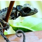 Seth Gorman - @seth.g88 - Instagram