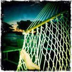 Seth Gottlieb - @sethgottlieb - Instagram