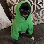 Seth Greenwood - @seth.greenwood.71868 - Instagram