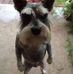 Seth Greenwood - Facebook
