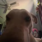 Seth Hampton - Facebook