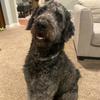 Seth Hampton - @seth0481 - TikTok