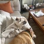 Seth Hampton - Facebook