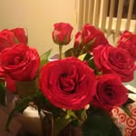 Seth Harbaugh - @sethharbaugh - Instagram