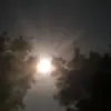 Seth_Harrison.2022 - @seth_harrison.2022 - TikTok