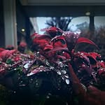 seth harrison - @harrison.photographing - Instagram