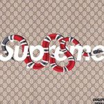Seth Harrison - @sethharrison5239 - Instagram