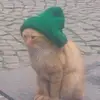 Seth - @seth.harrison - TikTok