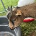 Seth Hawkins - Facebook