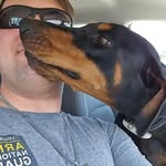 Seth Hebert - @seth.hebert.184 - Instagram