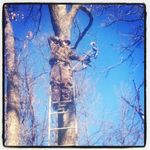 Seth Lee Hedges - @sethleehedges - Instagram