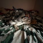 Seth Hedrick - @set_hed7 - Instagram