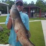 Seth Helms - @sethhelms27 - Instagram