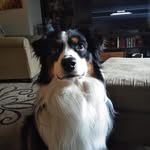 Seth Helmick - @helmickseth - Instagram