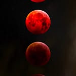 Seth Hemphill - @sethb_ooo - Instagram