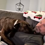 Seth Hendrickson - @seth.4615 - Instagram