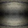sethauburn - @sethauburn - TikTok