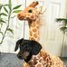 Seth Herbert - Facebook
