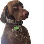 Seth Herrington - @sethherrington_ - Instagram