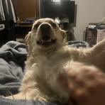 Seth Hiatt - Facebook