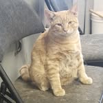 Seth J. Hiatt - @seth.j.hiatt - Instagram